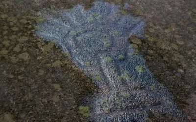 Petroglifos ancestrales en Jamundí